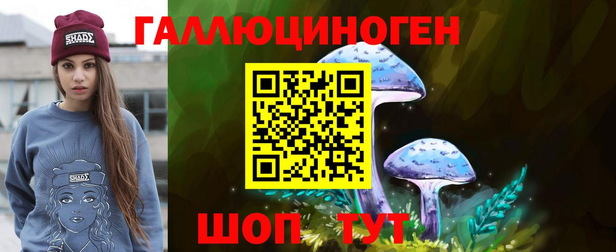 Качканар  Псилоцибиновые грибы прущие грибы  Вход с VPN 